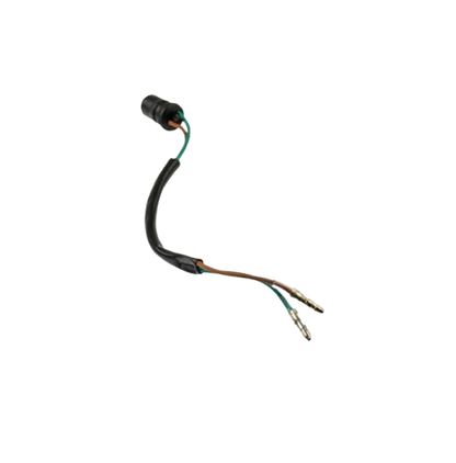 Arnes Faro / C06050027