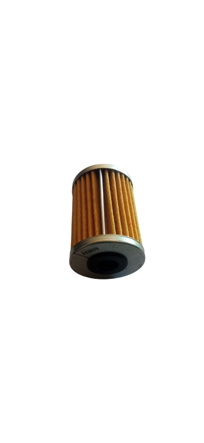 Filtro Aceite / M09020011