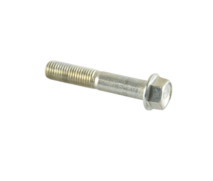 Tornillo M10X55 / C02070010