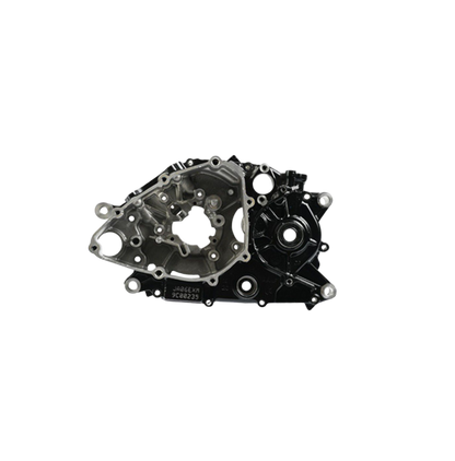 Componente Carter Izq / M07010008