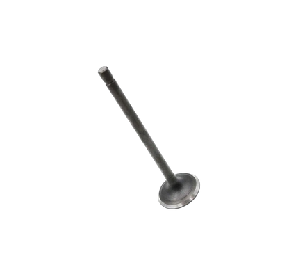 Válvula De Escape / VM01050048