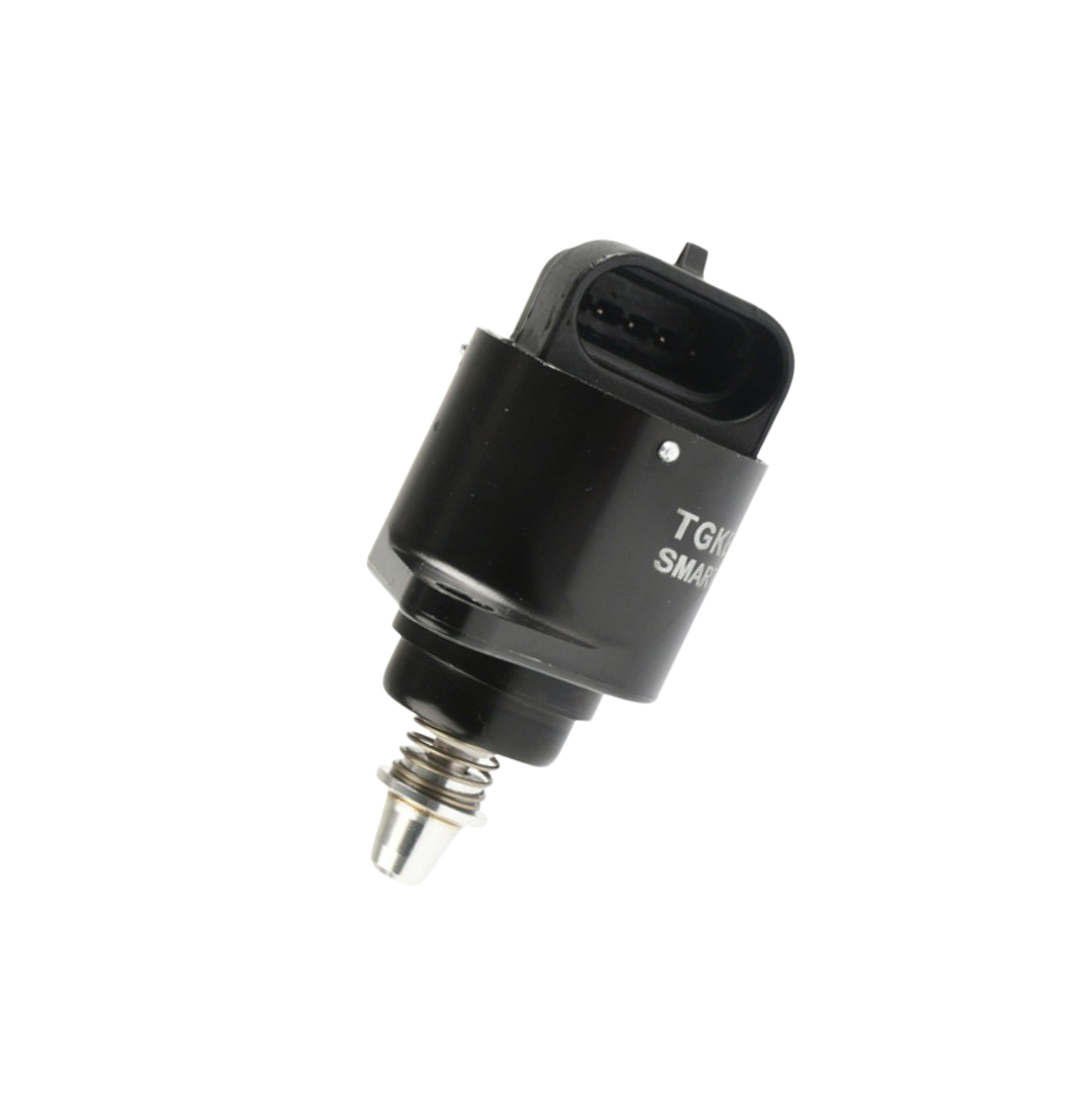 Valvula IAC / Y01060006