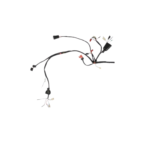 Arnes Principal  / C06050009