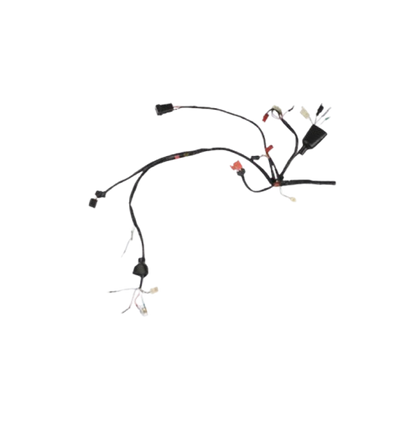 Arnes Principal  / C06050009