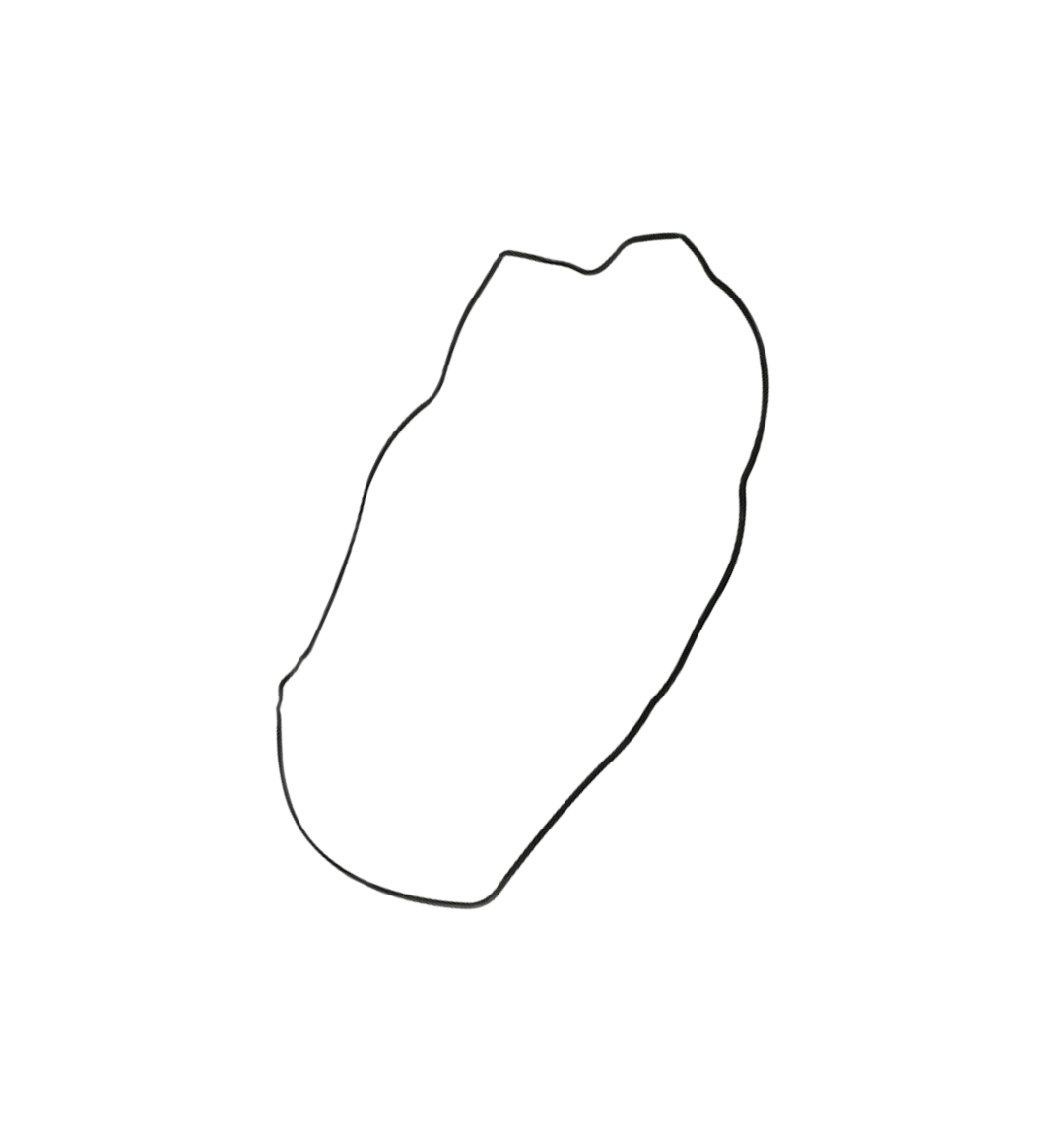 Junta Filtro Aire / C08010004