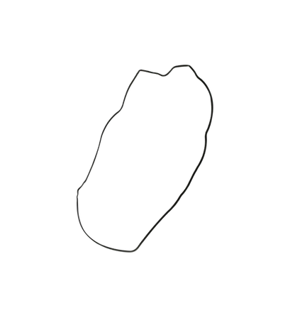 Junta Filtro Aire / C08010004