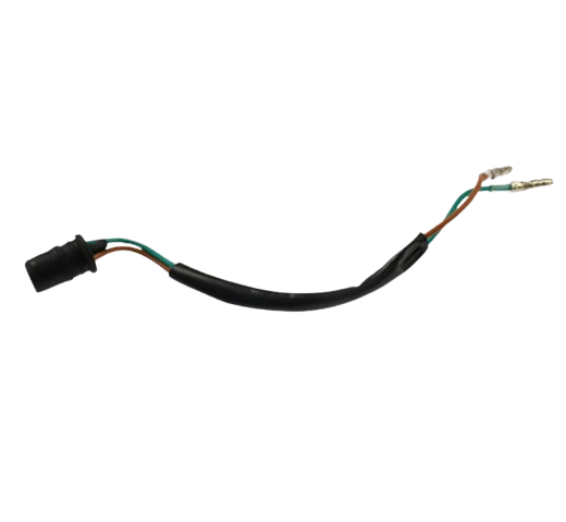 Arnes Faro / C06050027