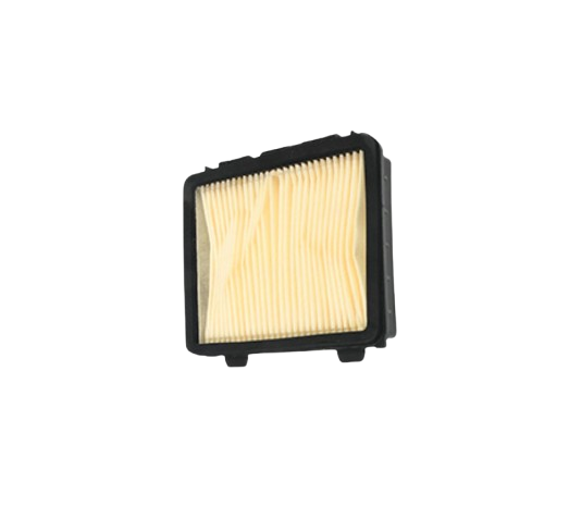 Elemento Filtrante / C08010057