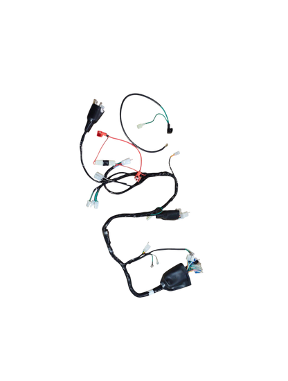 Arnes Principal / VC02050091