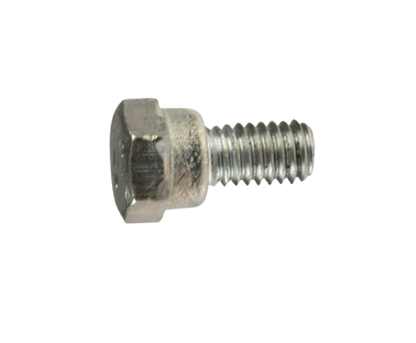 Tornillo Placa Sujetadora  / M06040001