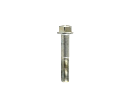 Tornillo M10X55 / C02070010