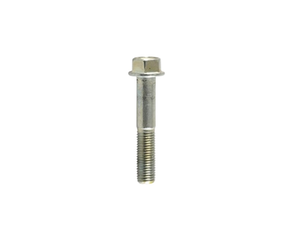 Tornillo M10X55 / C02070010