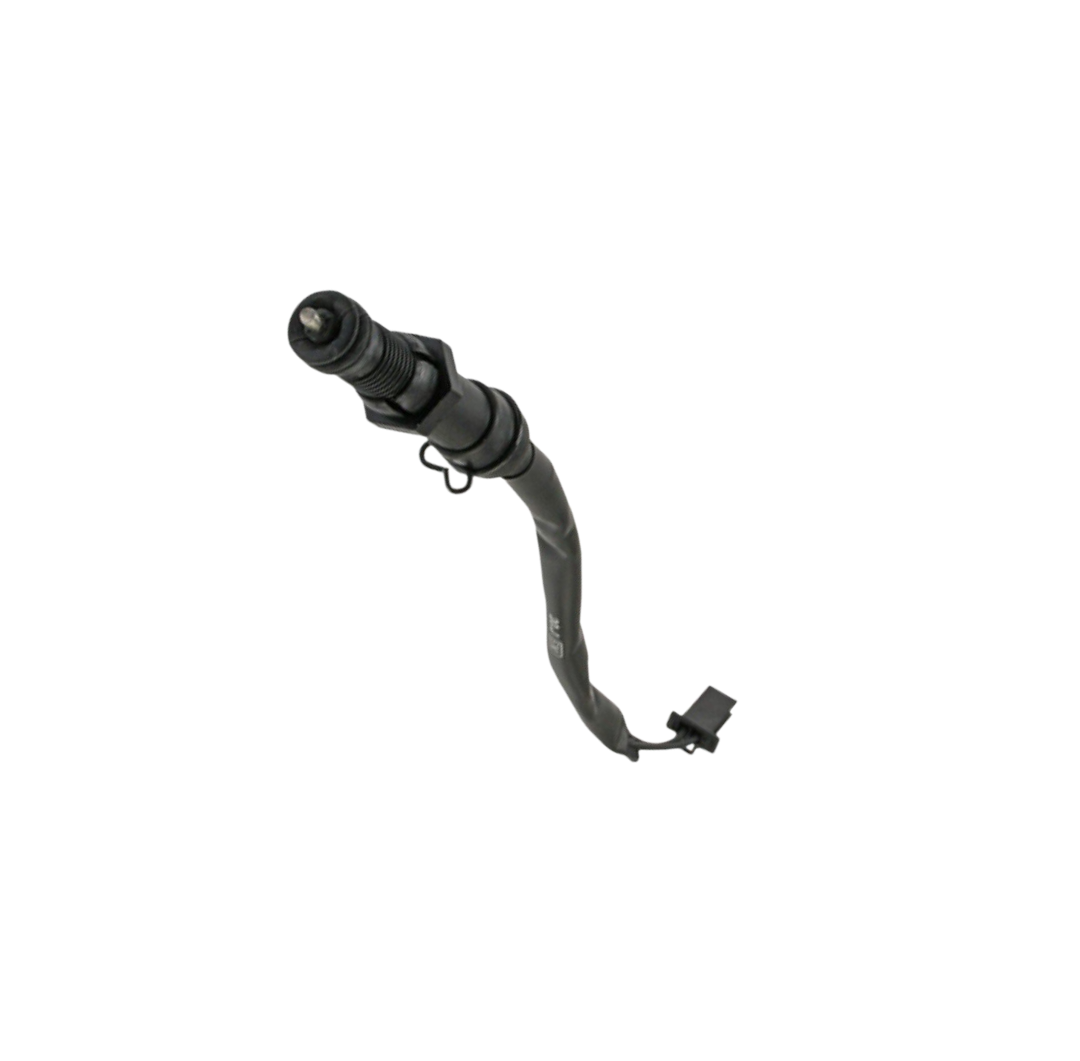 Interruptor Freno Tras / C06020016