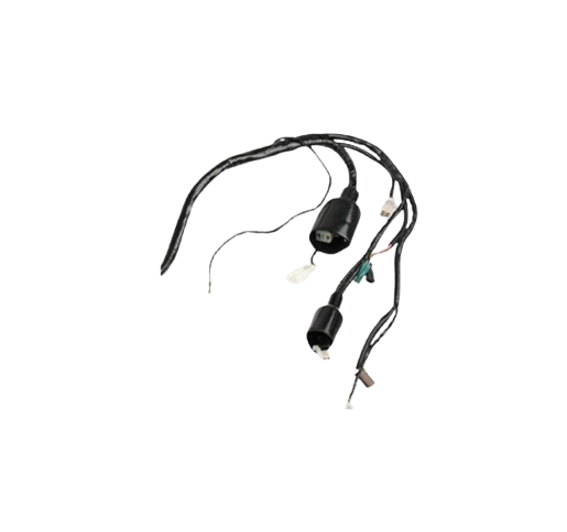 Arnes Principal / C06050028