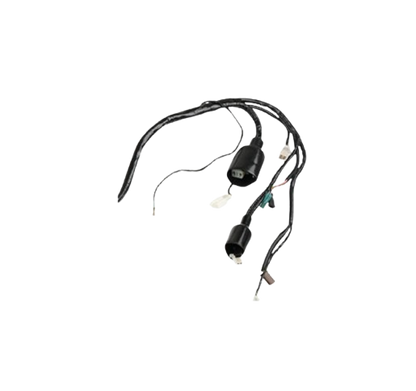 Arnes Principal / C06050028