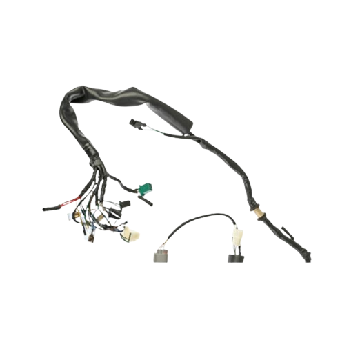 Arnes Principal / C06050019