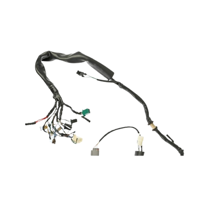 Arnes Principal / C06050019