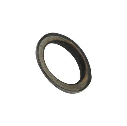 Empaque Tubo Escape / C07030005