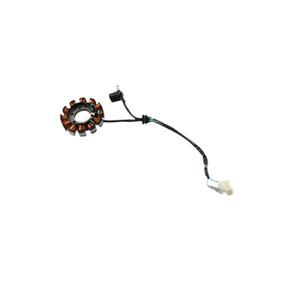 Estator 12 Bobinas / M05010002