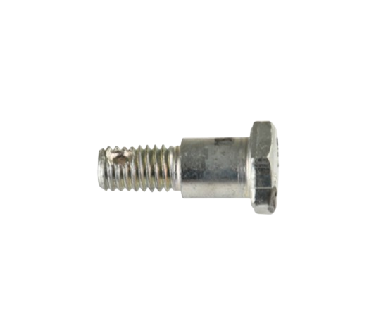 Tornillo Tope Freno Tras M8 / C02070019