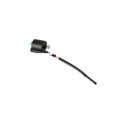 Bobina Ignicion /  C06060004