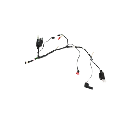 Arnes Principal / C06050003