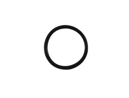 O-Ring / C01060011