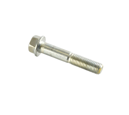 Tornillo M10X55 / C02070010