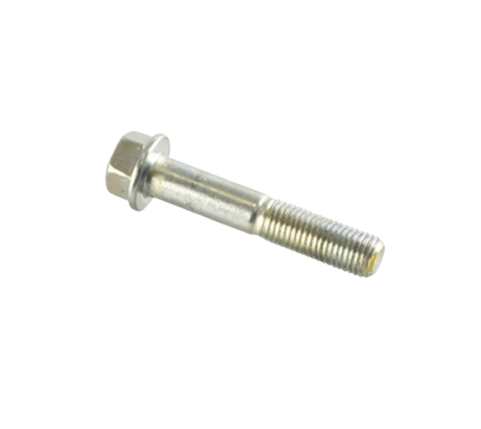 Tornillo M10X55 / C02070010