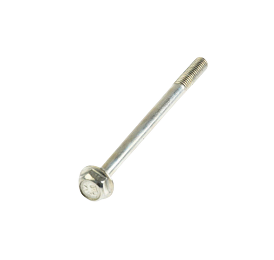 Tornillo M6X80 / M10060011