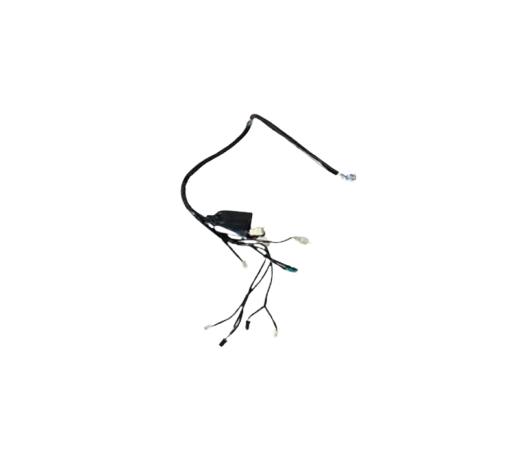 Arnes Principal / C06050038