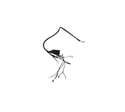 Arnes Principal / C06050038