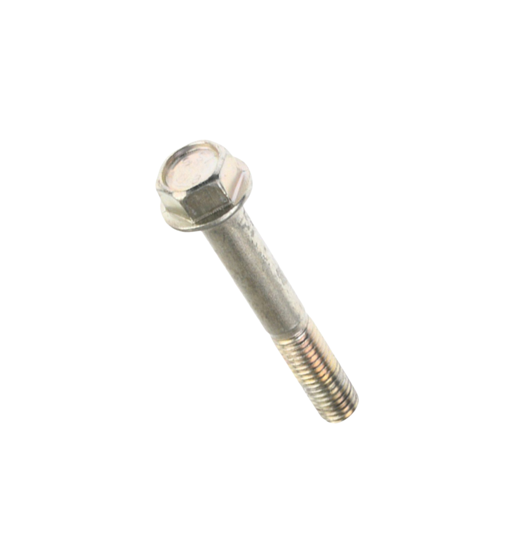 Tornillo 8X55 / C05030021