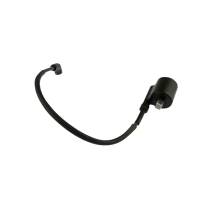 Bobina Ignicion / C06060010