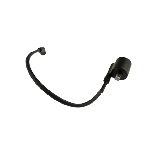 Bobina Ignicion / C06060010