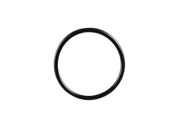 O-RING / C01060016