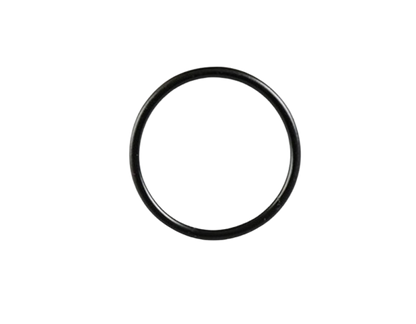 O-RING / C01060016