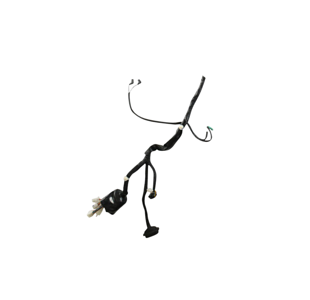 Arnes Principal / C06050003