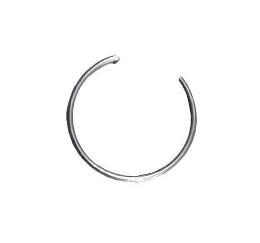 Reten Del Pasador Del Pistón / VM05010003