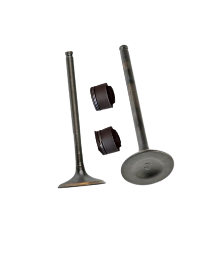 Kit de Válvulas Eco 150 / M04050004 / M04050008 / M04030005