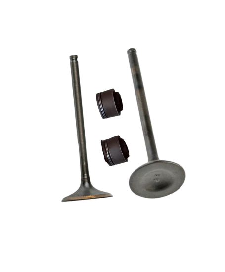 Kit de Válvulas Eco 150 / M04050004 / M04050008 / M04030005