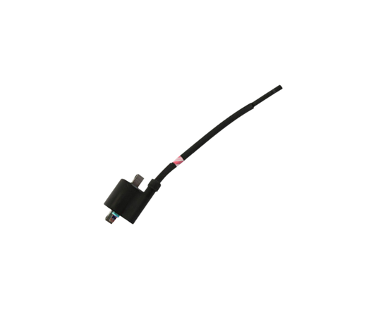 Bobina Ignicion /  C06060004