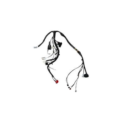 Arnes Principal / C06050038