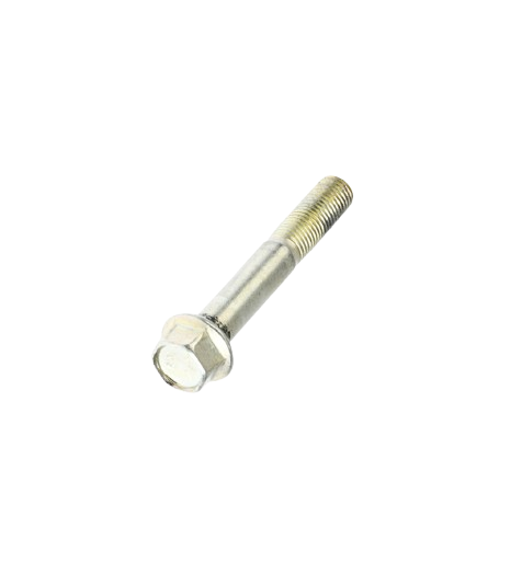 Tornillo M10X65 / C02070006