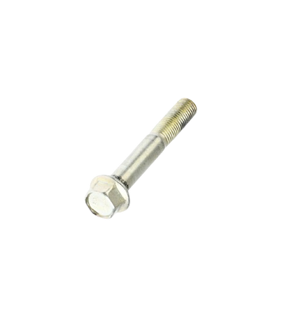 Tornillo M10X65 / C02070006