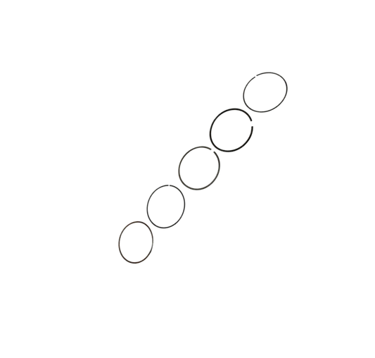 Juego Anillos Piston 1.00 / M08010018