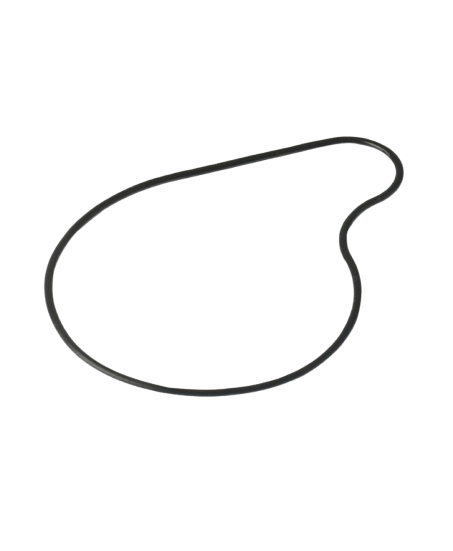 Empaque Bomba De Agua Benelli TNT 25N / Y10030002