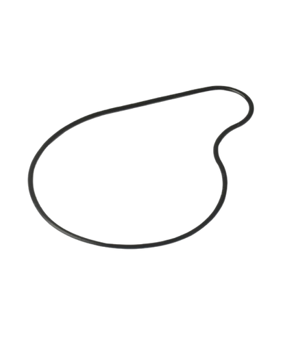 Empaque Bomba De Agua Benelli TNT 25N / Y10030002