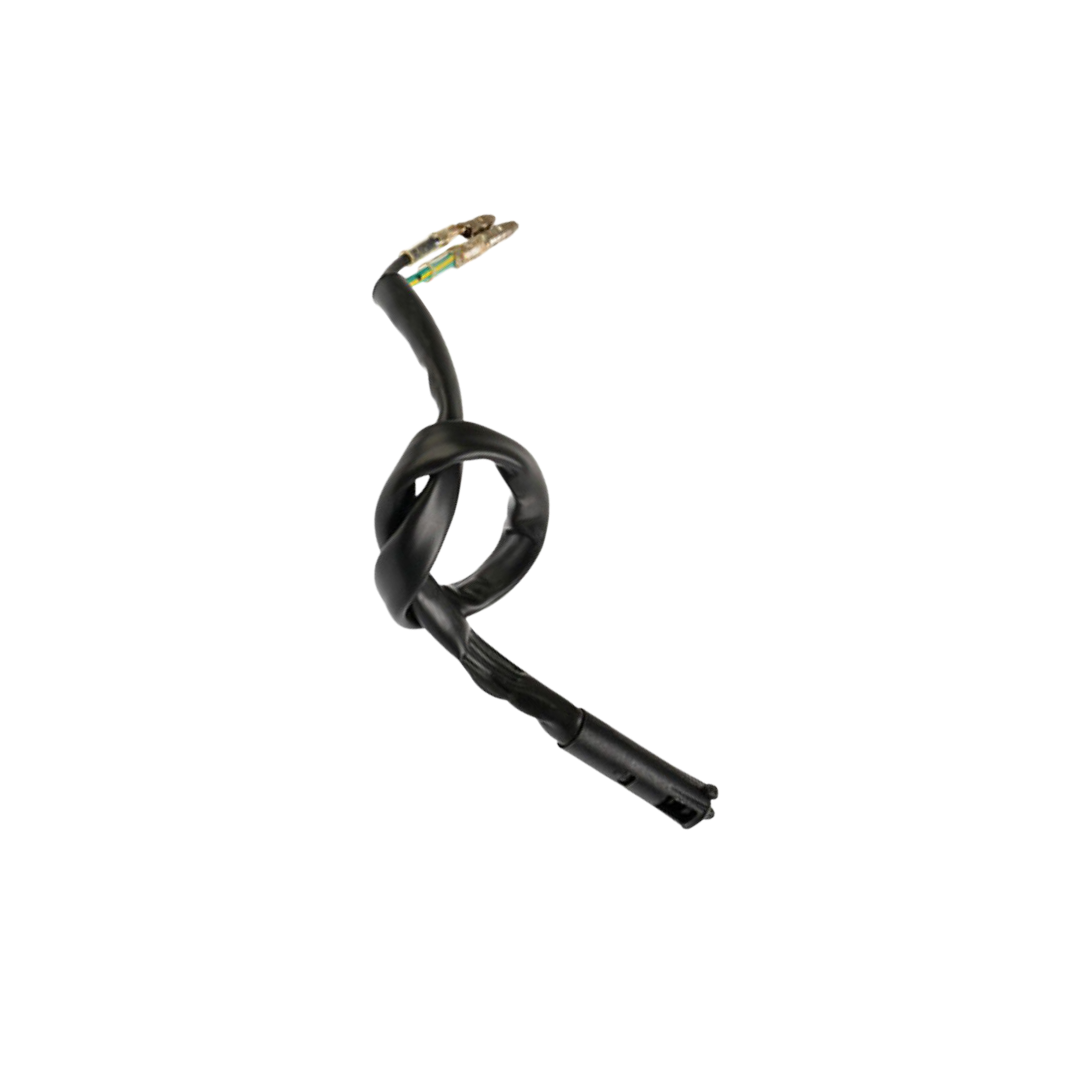 Interruptor Freno Del / C06020021