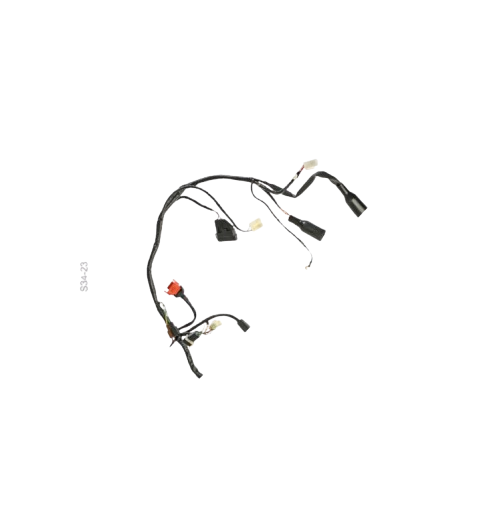 Arnes Principal / C06050019